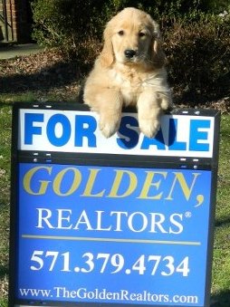 Golden Realtors